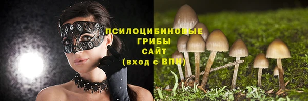 спайс Покачи
