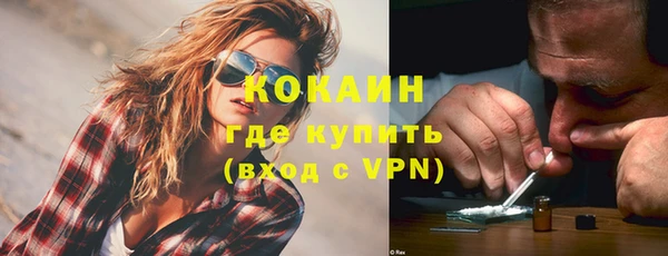 ПСИЛОЦИБИНОВЫЕ ГРИБЫ Арсеньев