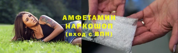 ПСИЛОЦИБИНОВЫЕ ГРИБЫ Арсеньев