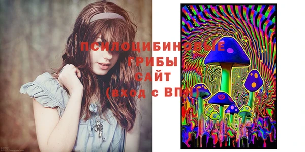 ПСИЛОЦИБИНОВЫЕ ГРИБЫ Арсеньев