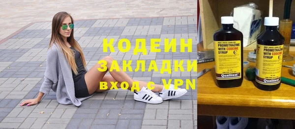 ПСИЛОЦИБИНОВЫЕ ГРИБЫ Арсеньев