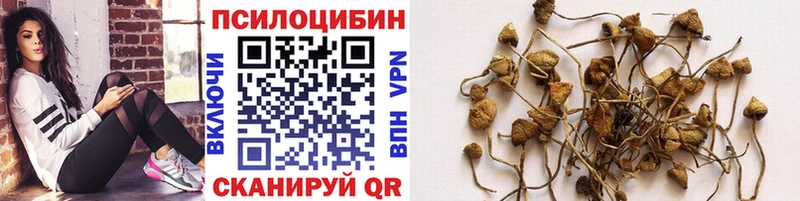 Галлюциногенные грибы Psilocybe  hydra рабочий сайт  shop формула  Горячий Ключ 